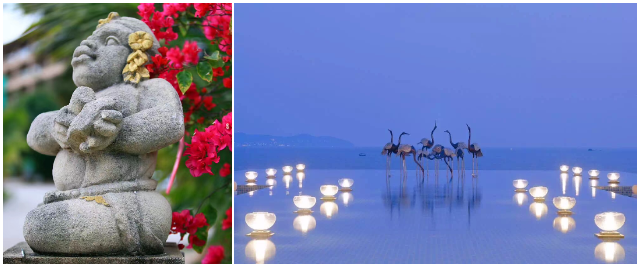 ï����������