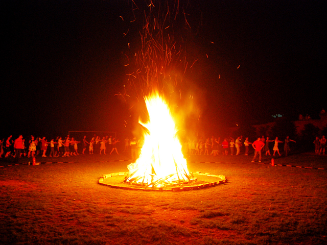 ɳ̲����������